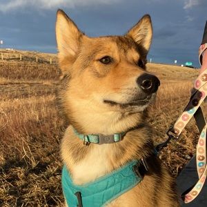 Meet your Posher, Ana